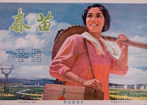 Università dell'Insubria本科毕业证